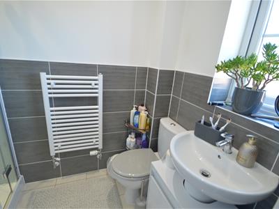 Picture 11